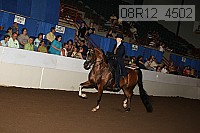 08r12_4502 proof