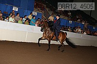 08r12_4505 proof