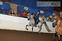 08r12_4507 proof