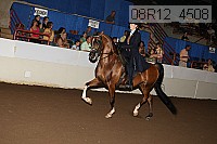 08r12_4508 proof