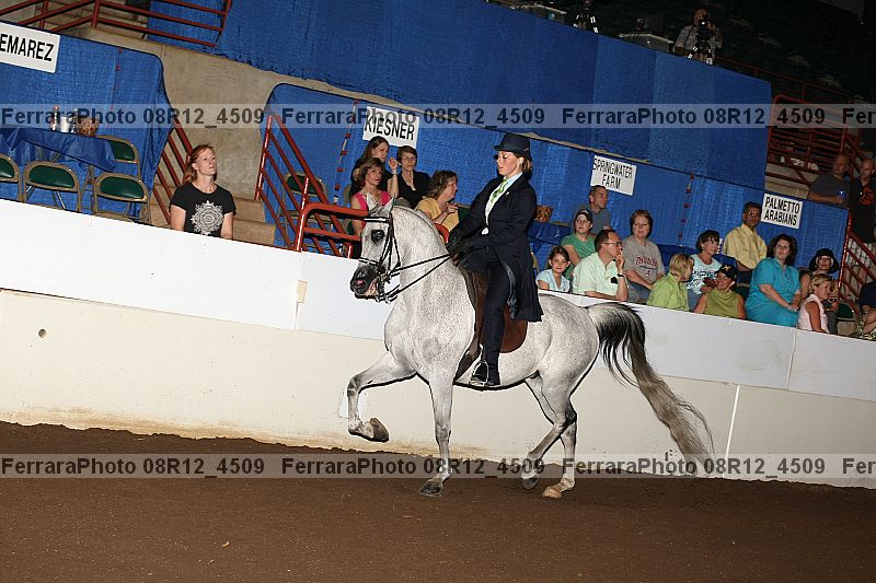 Proof 08r12_4509