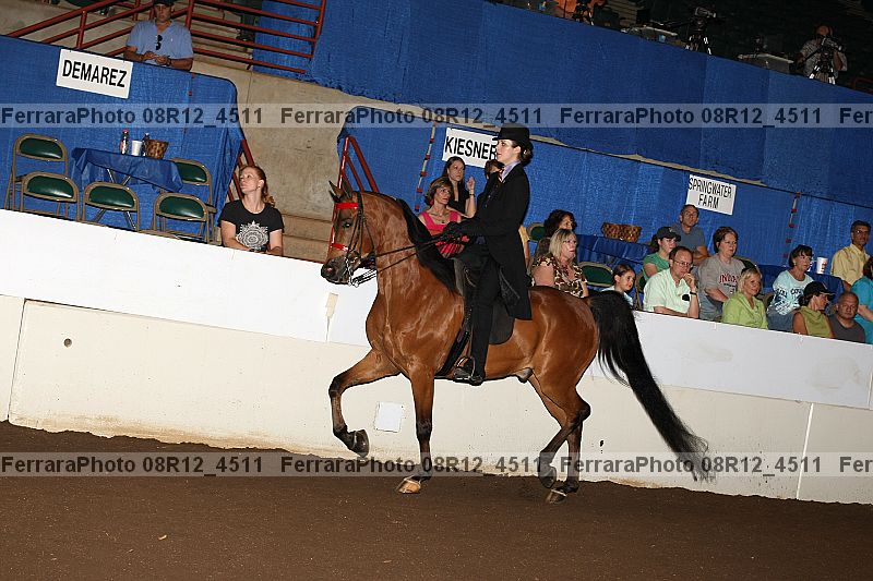 Proof 08r12_4511