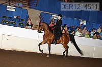 08r12_4511 proof