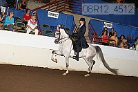 08r12_4512 proof