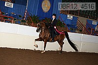 08r12_4516 proof