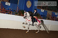 08r12_4518 proof