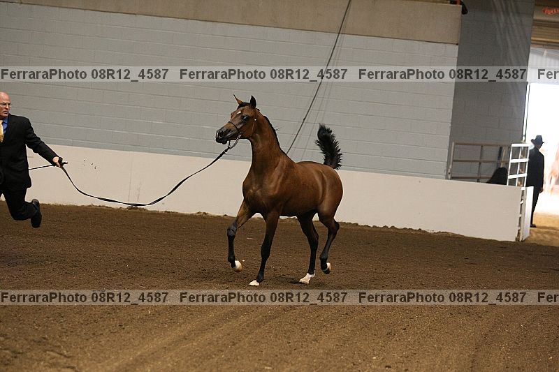 Proof 08r12_4587
