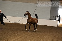 08r12_4587 proof