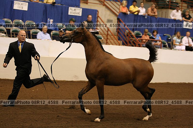 Proof 08r12_4588