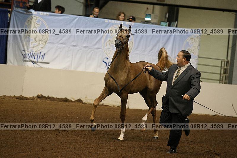 Proof 08r12_4589
