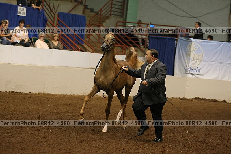 Proof 08r12_4590