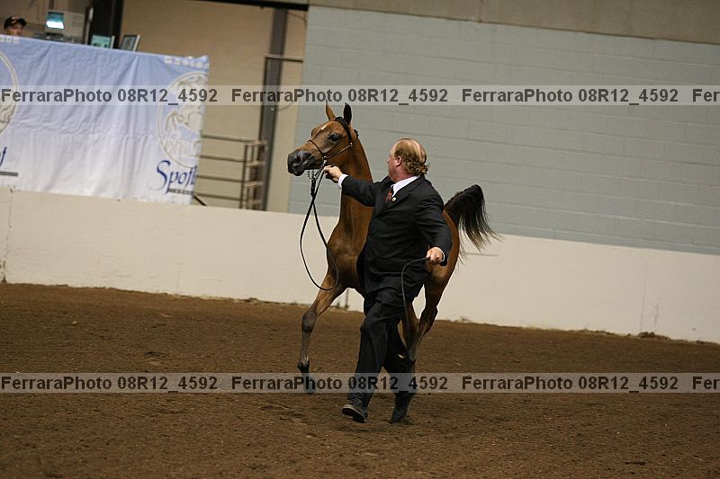 Proof 08r12_4592