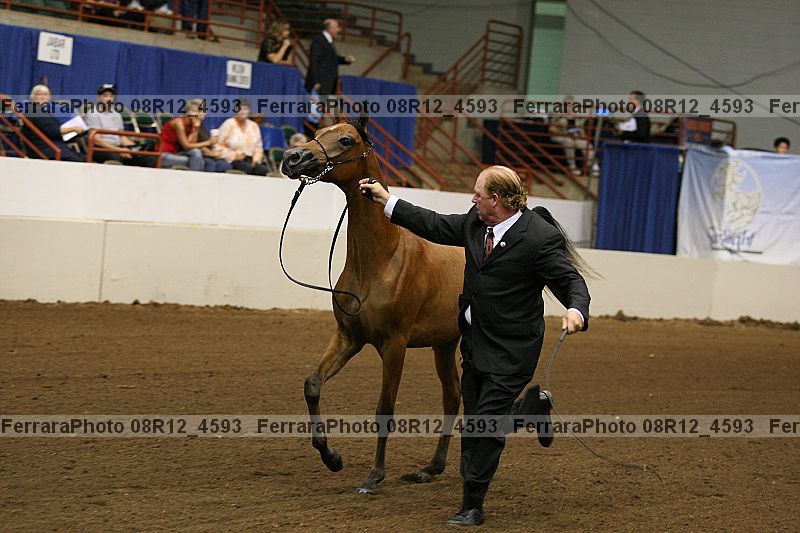 Proof 08r12_4593