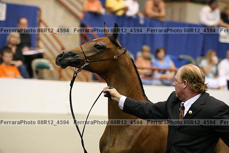 Proof 08r12_4594