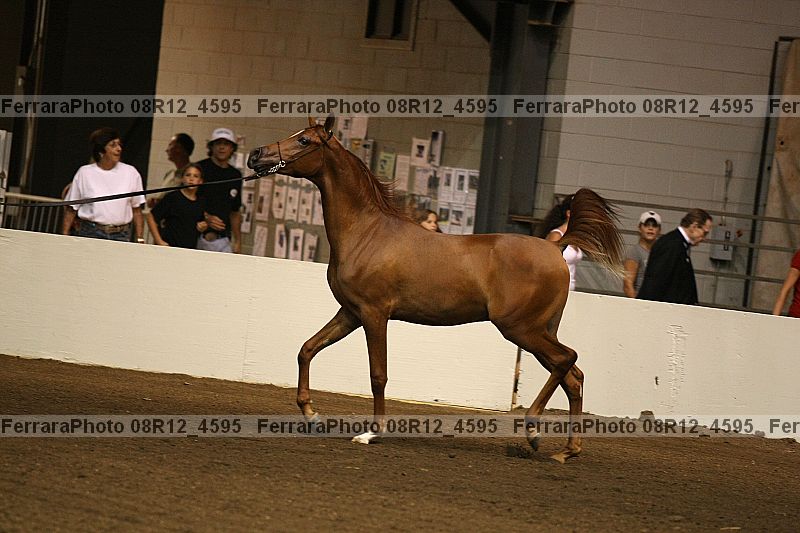 Proof 08r12_4595