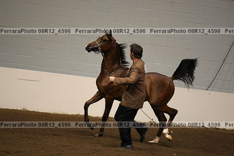 Proof 08r12_4596