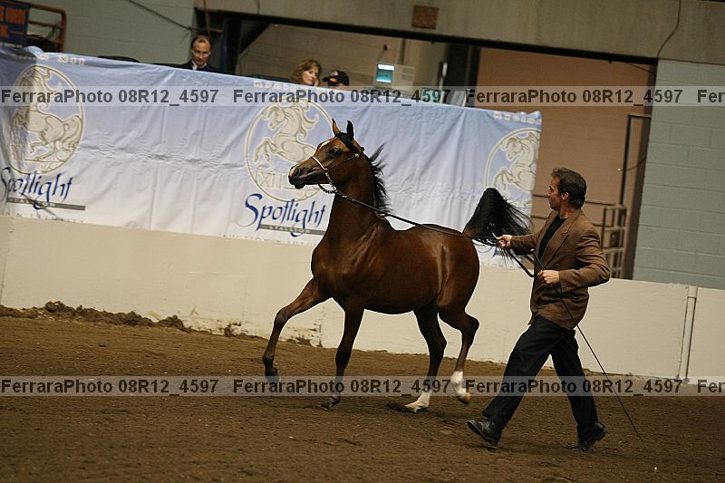 Proof 08r12_4597