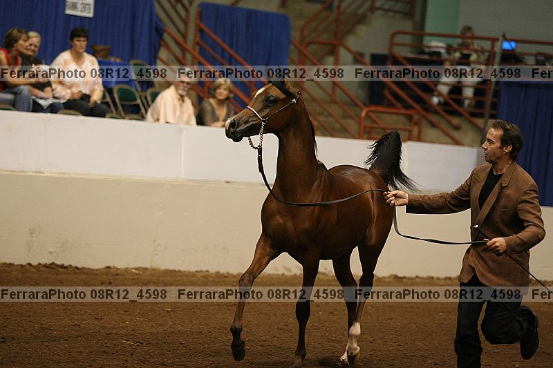 Proof 08r12_4598
