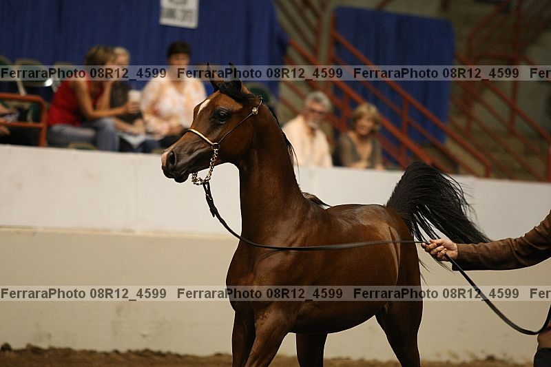 Proof 08r12_4599