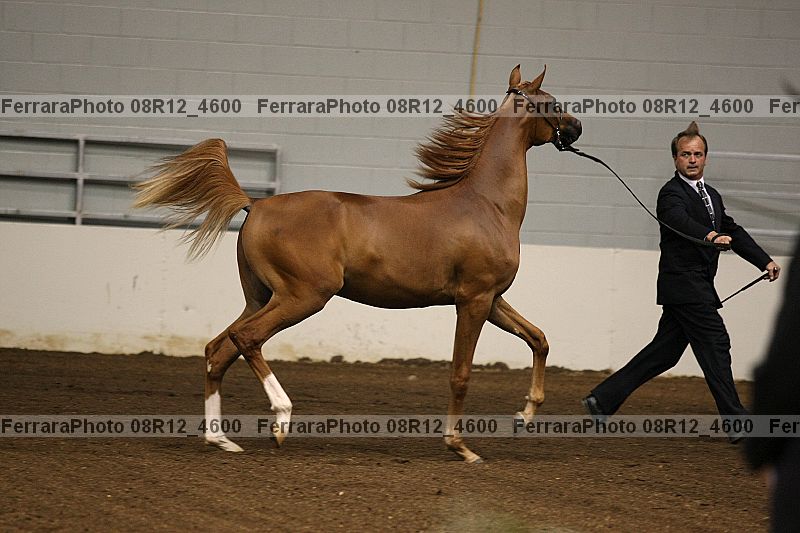 Proof 08r12_4600