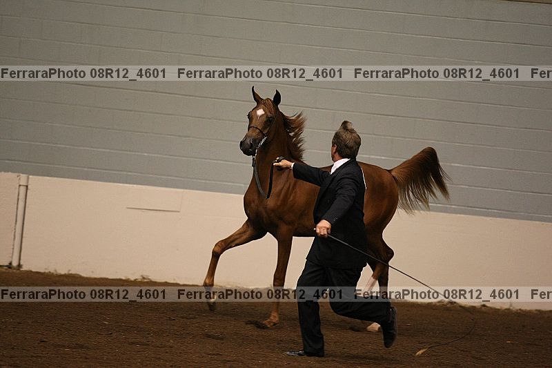 Proof 08r12_4601
