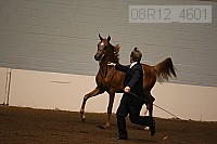 08r12_4601 proof