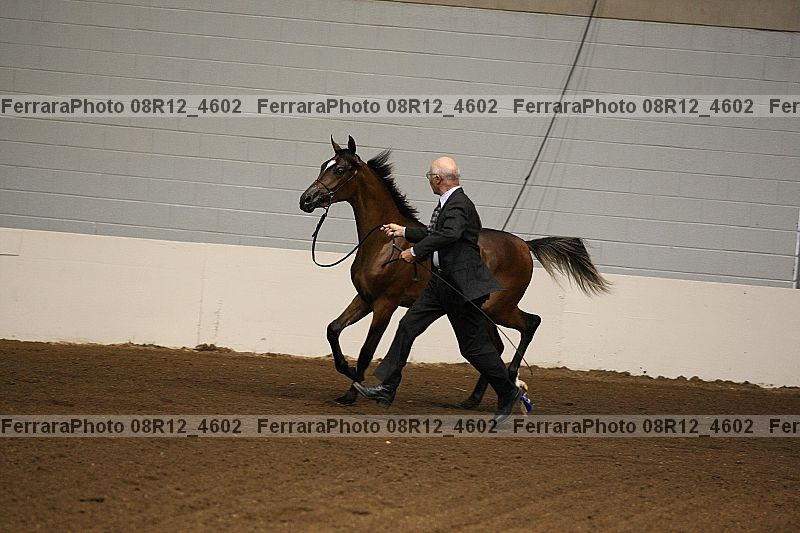 Proof 08r12_4602