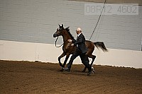 08r12_4602 proof