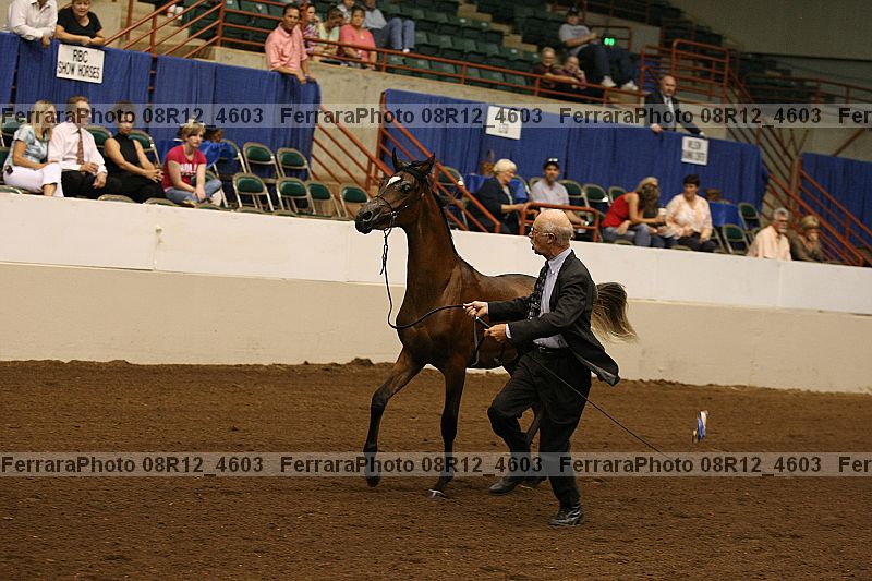 Proof 08r12_4603