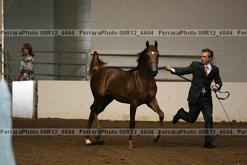 Proof 08r12_4604