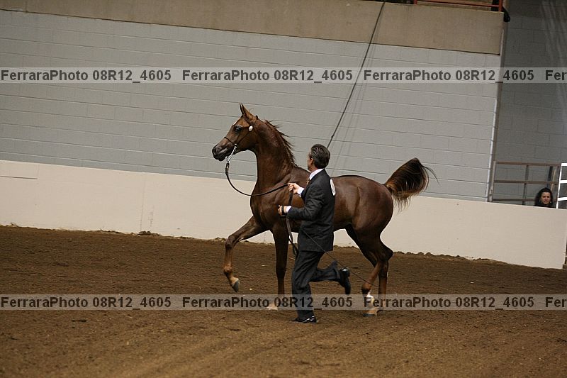 Proof 08r12_4605