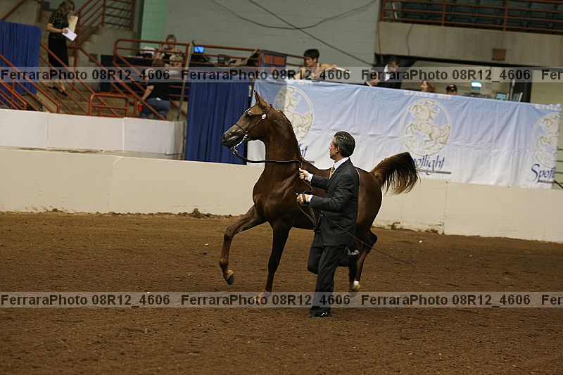 Proof 08r12_4606