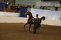 08r12_4606 proof