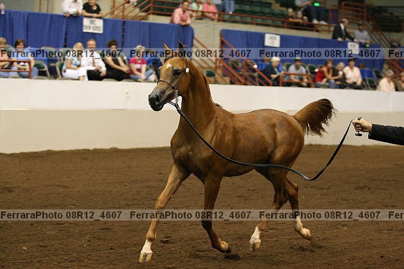 Proof 08r12_4607