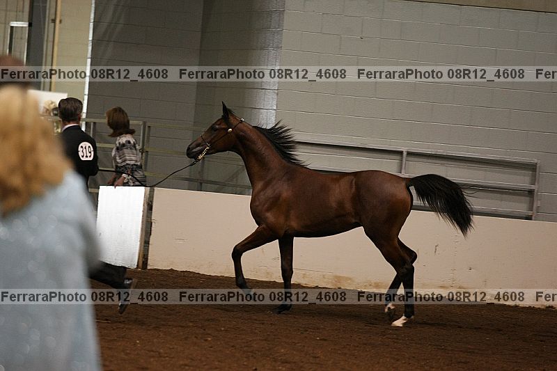 Proof 08r12_4608