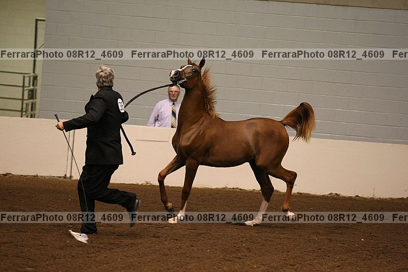 Proof 08r12_4609