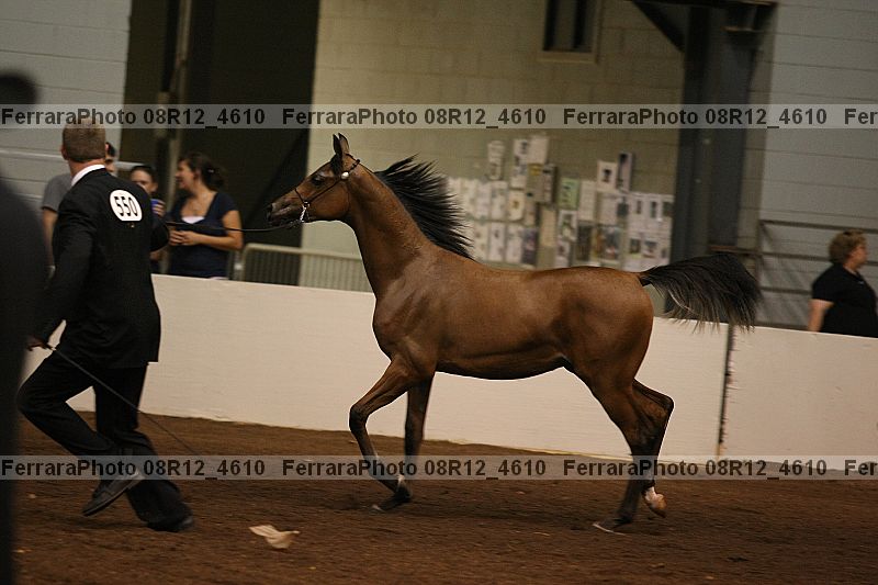 Proof 08r12_4610