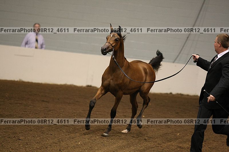 Proof 08r12_4611