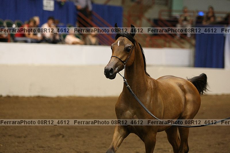 Proof 08r12_4612