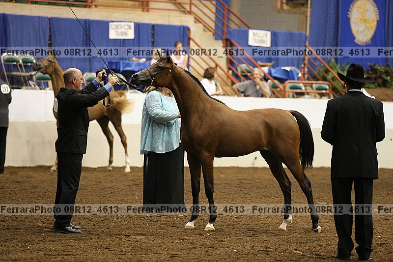 Proof 08r12_4613