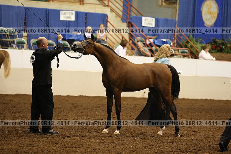 Proof 08r12_4614