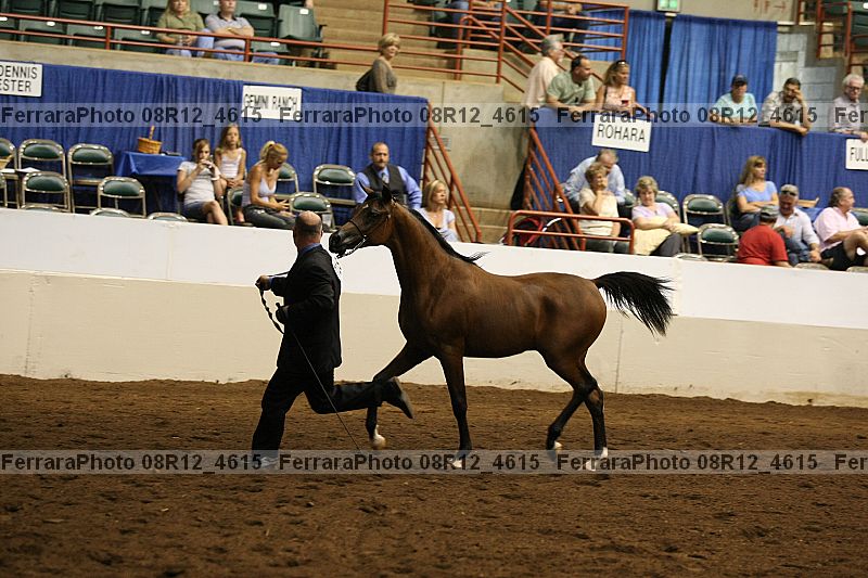 Proof 08r12_4615