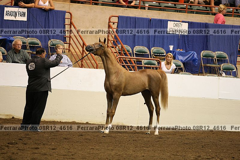 Proof 08r12_4616