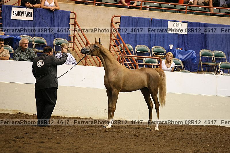 Proof 08r12_4617