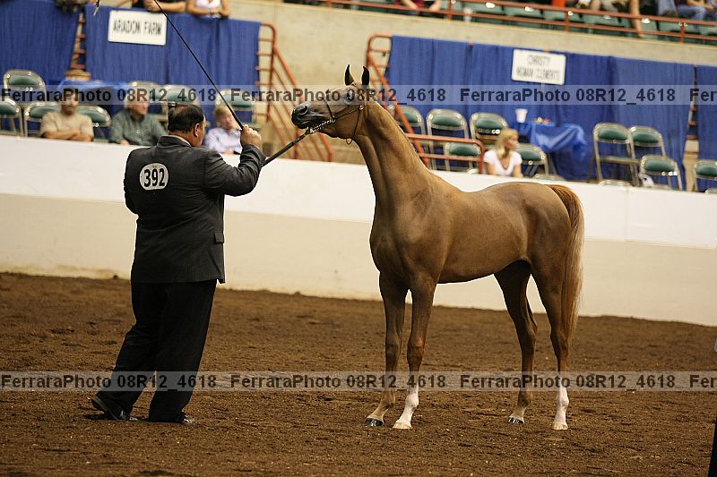 Proof 08r12_4618
