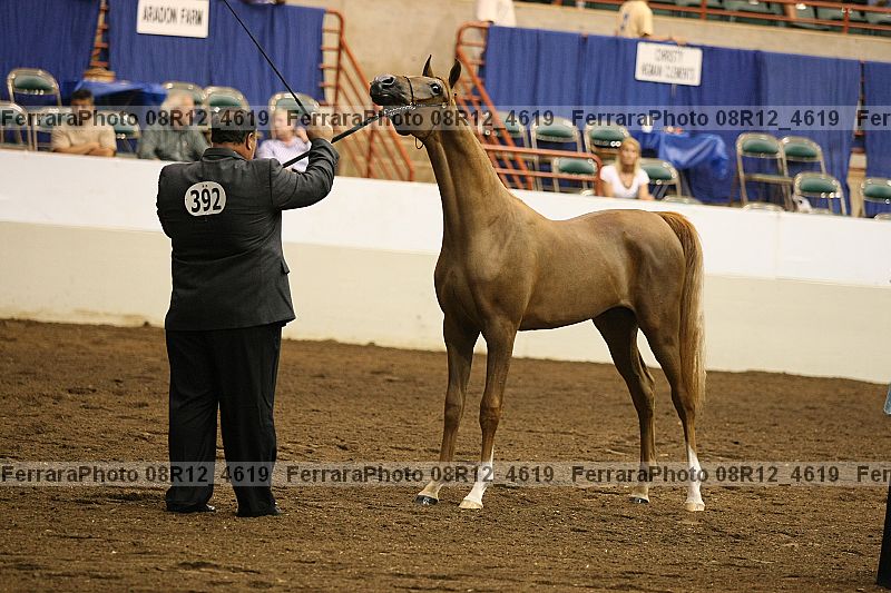 Proof 08r12_4619