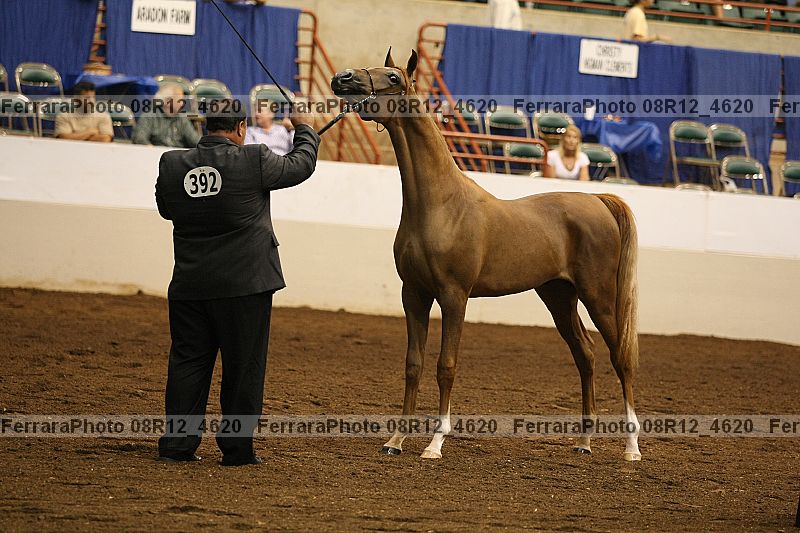 Proof 08r12_4620