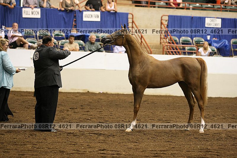Proof 08r12_4621