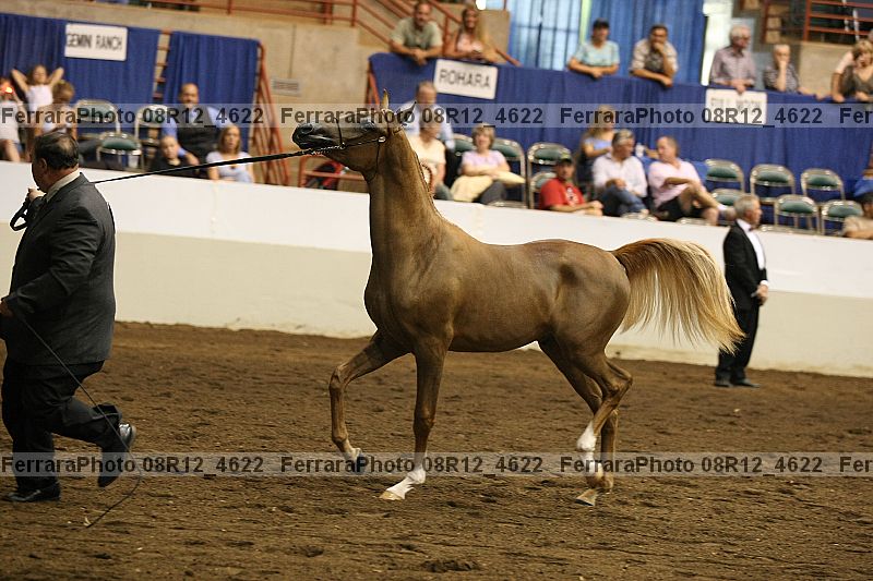 Proof 08r12_4622