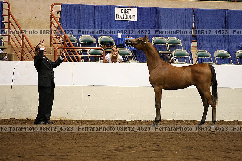 Proof 08r12_4623